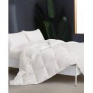  Thread Count Extra Soft Goose Down and Feather Fiber Comforter with Duvet Tabs, Twin