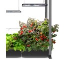 24XL with Salad Bar Seed Pod Kit, Black